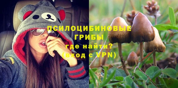 ПСИЛОЦИБИНОВЫЕ ГРИБЫ Алексеевка