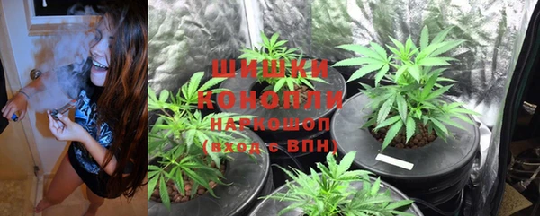 ПСИЛОЦИБИНОВЫЕ ГРИБЫ Алзамай