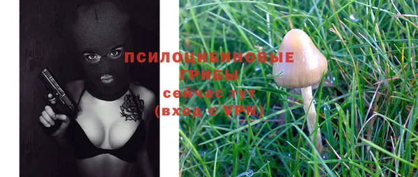 ПСИЛОЦИБИНОВЫЕ ГРИБЫ Алзамай