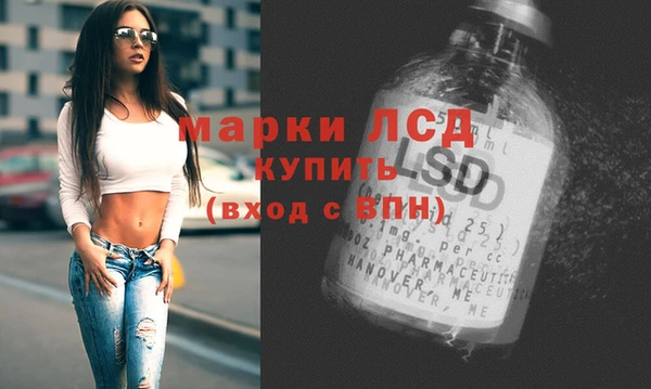 ПСИЛОЦИБИНОВЫЕ ГРИБЫ Алзамай